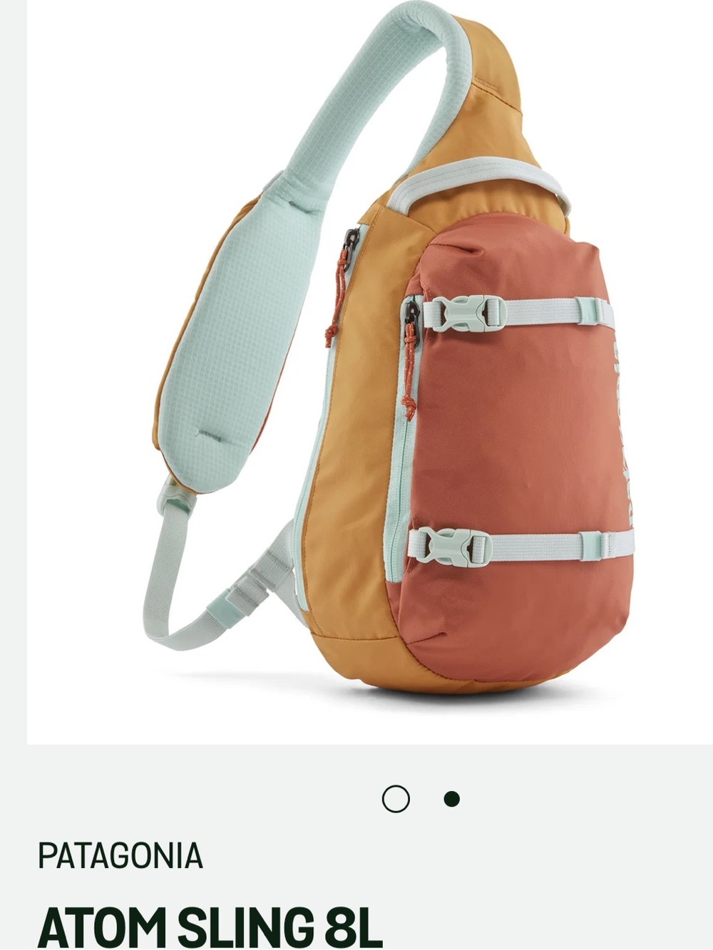 Patagonia NWOT Atom Sling Bag